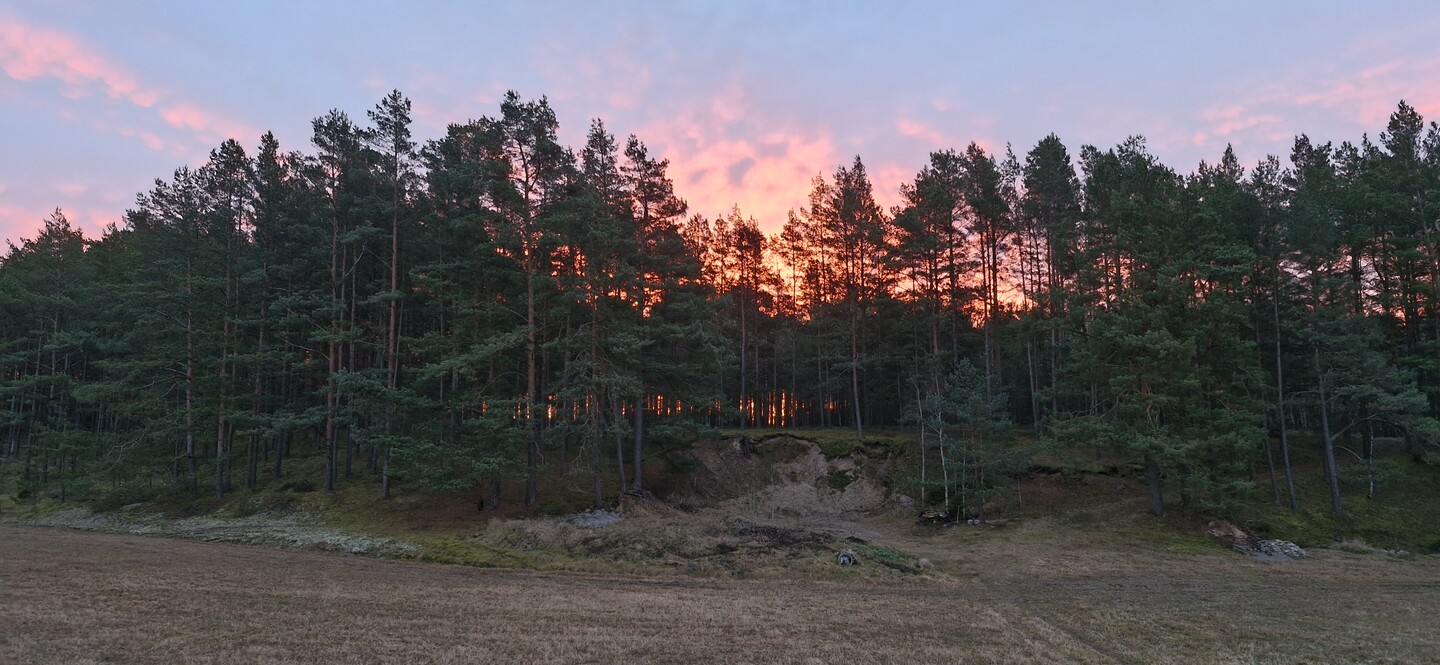Wschód słońca nad Madrzewiną