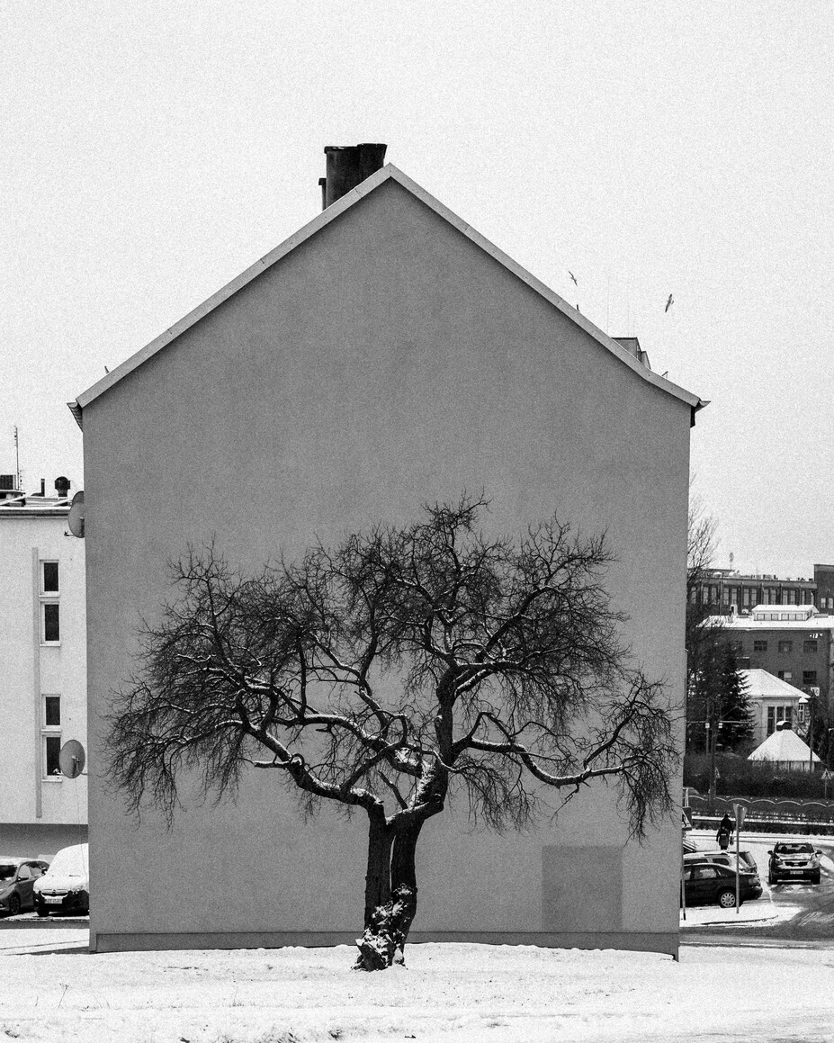 Symbioza natury i architektury