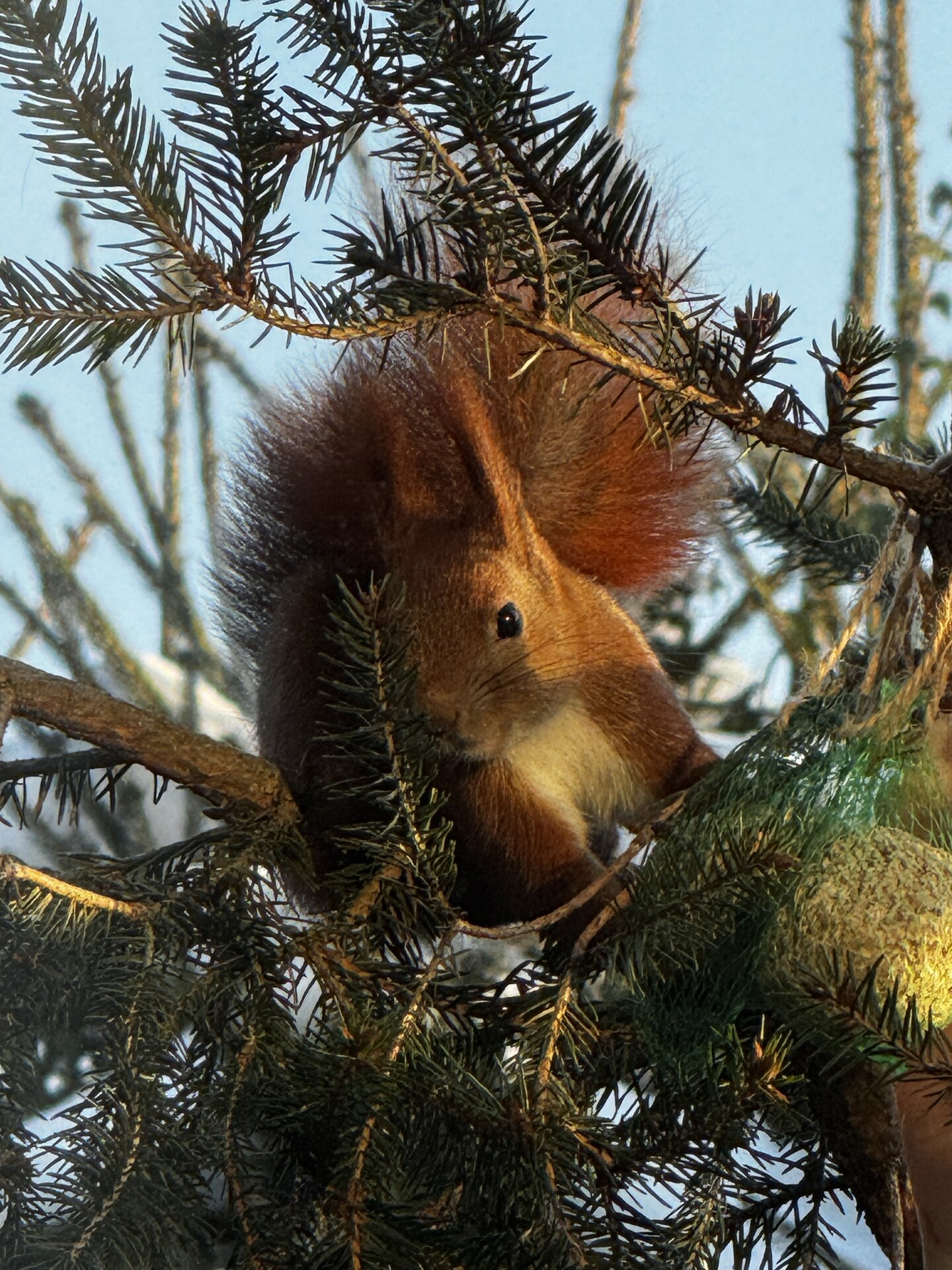 Chciałabym się posilić