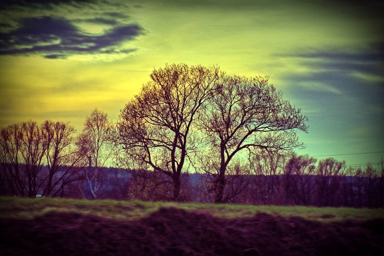 pejzaż okolic Elbląga