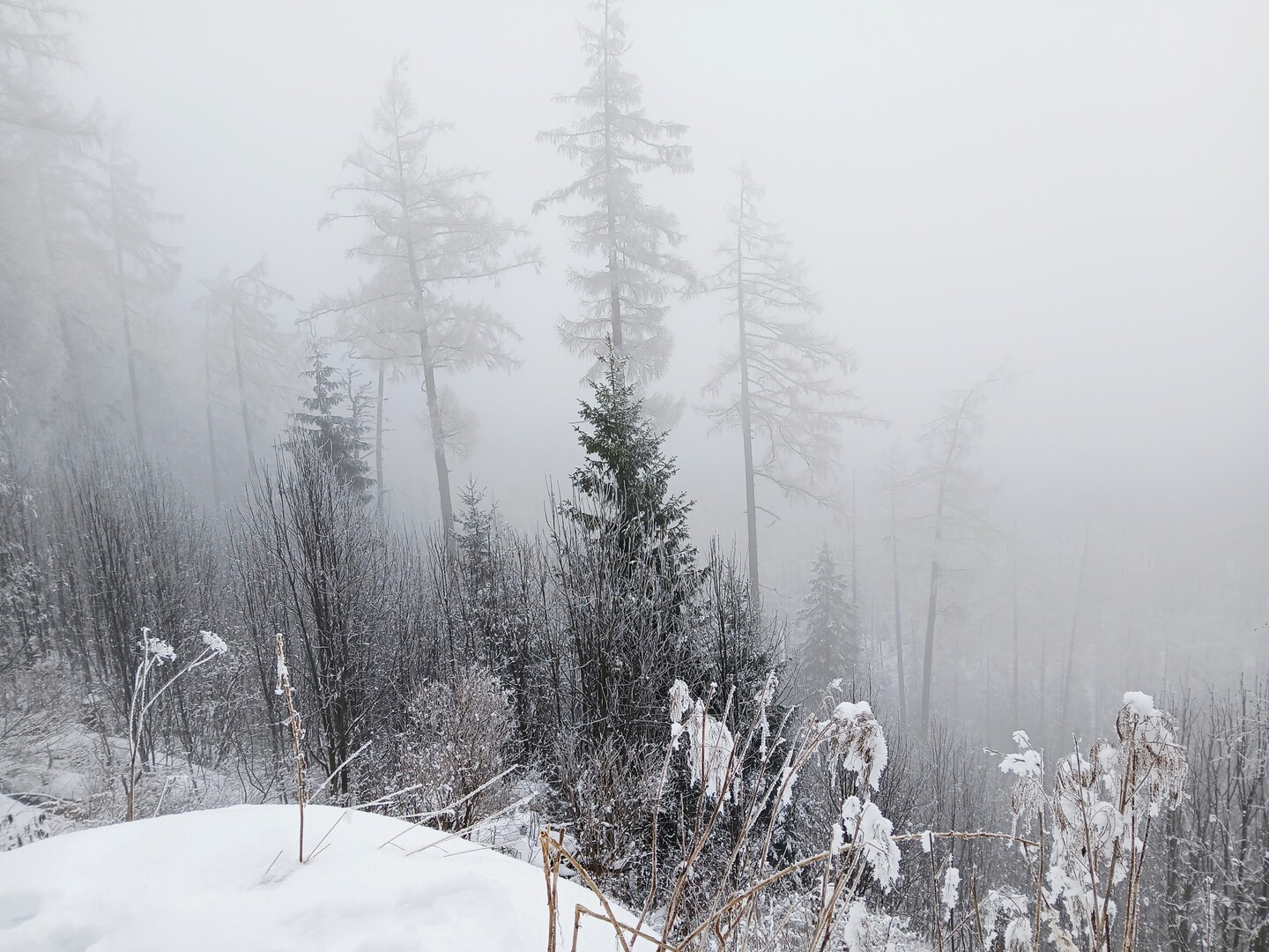 Magia nagości Hrebienioku