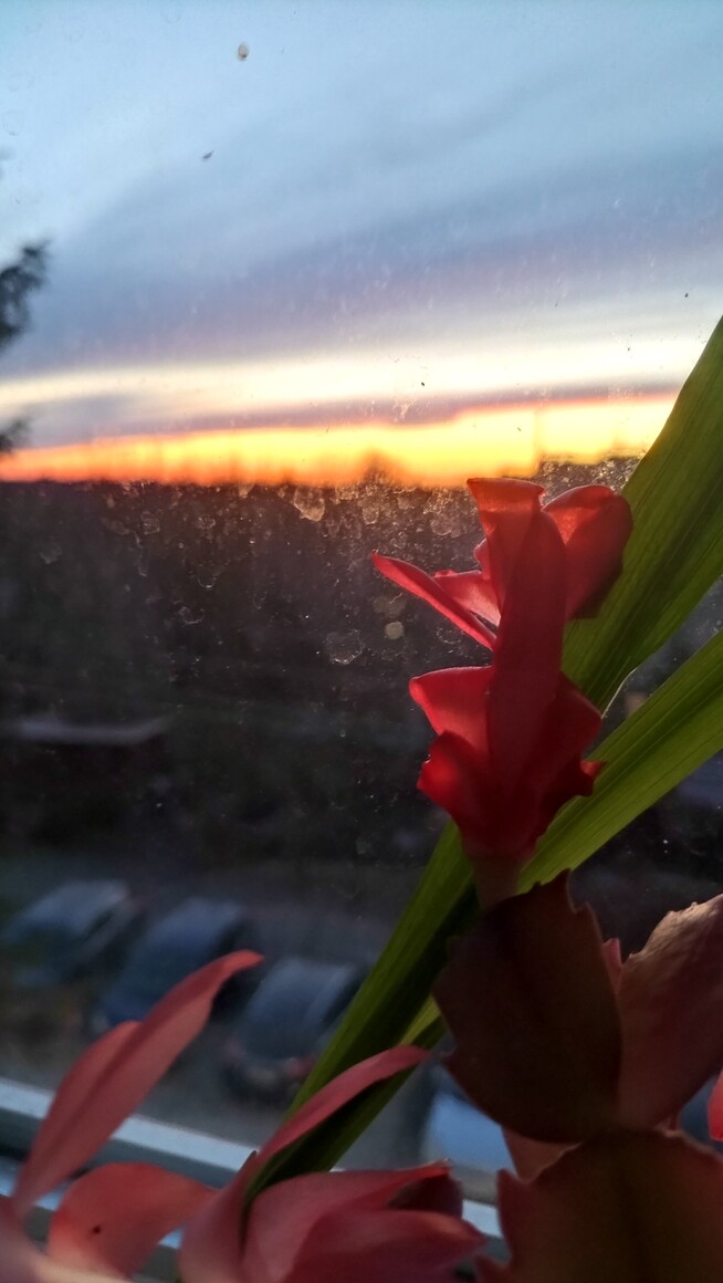 Złote niebo ci otworzę...