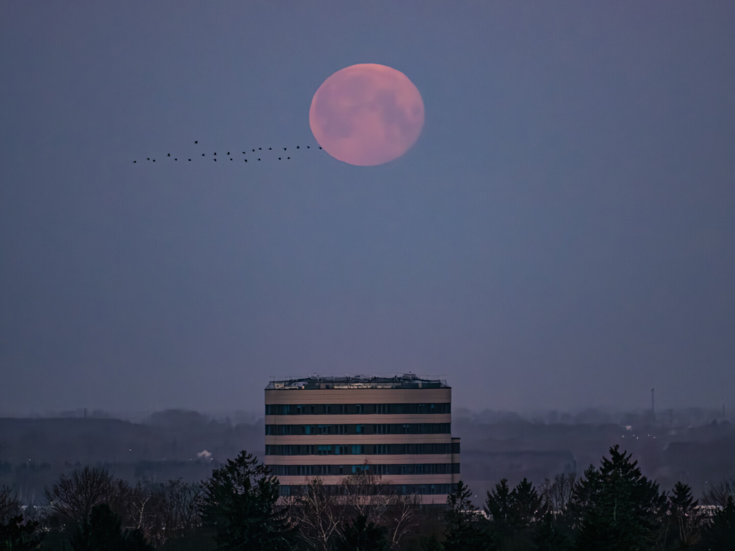 Pełnia Robaczego Księżyca