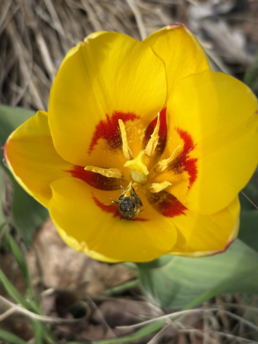 podglądanie spożywania