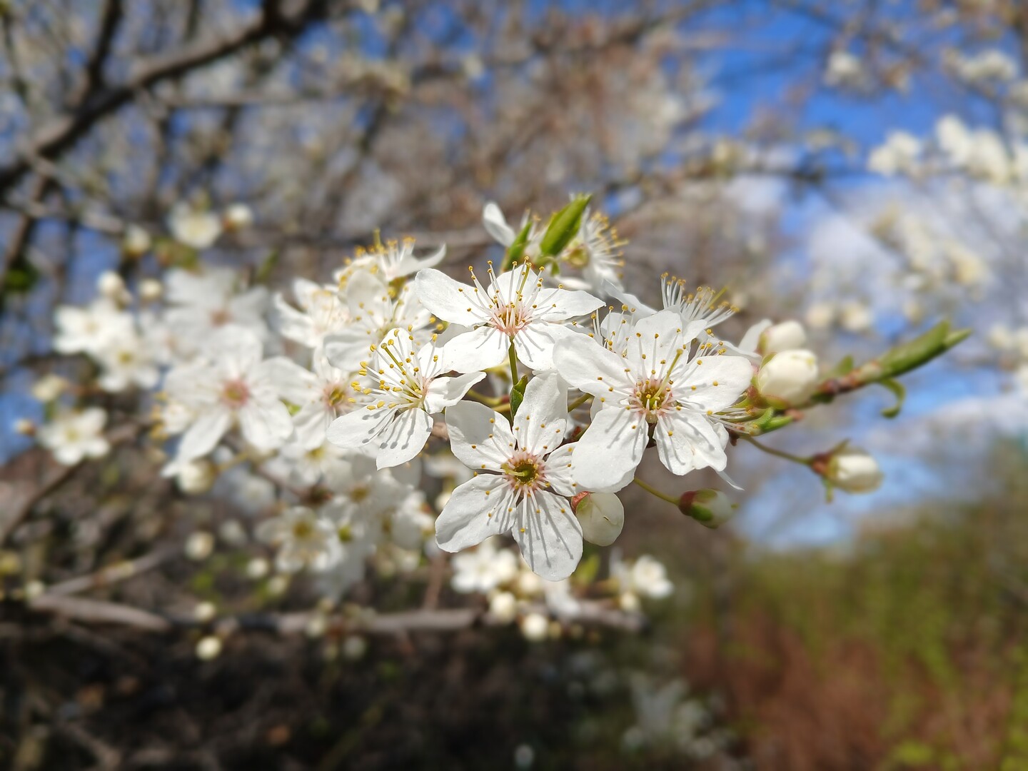 Nareszcie Przyszła!
