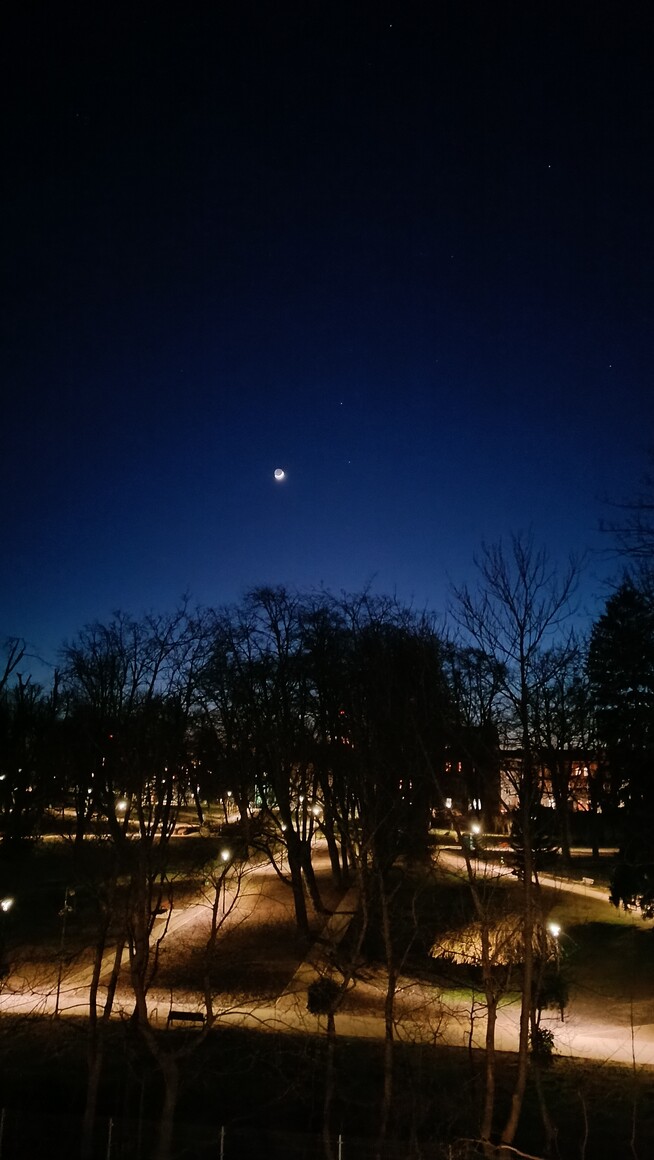 park nocą