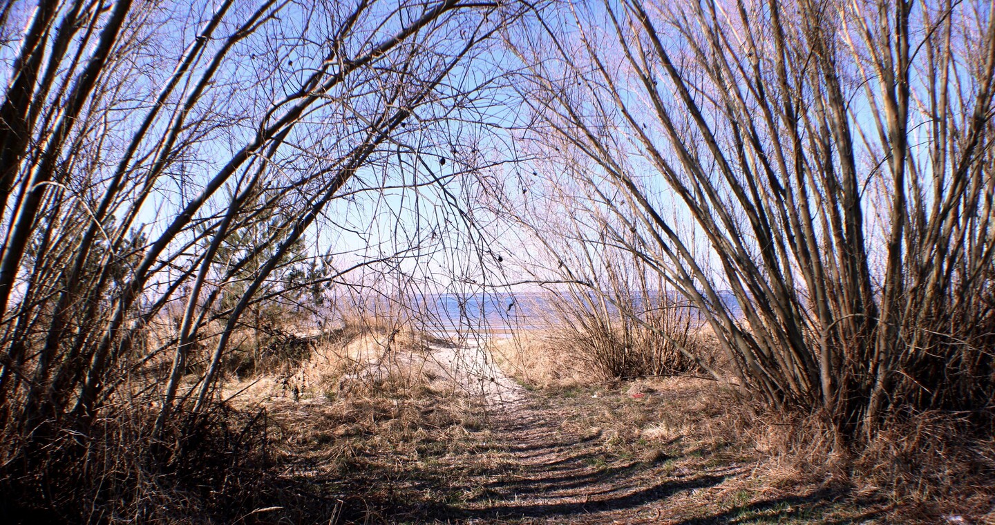 Ukryty widok.