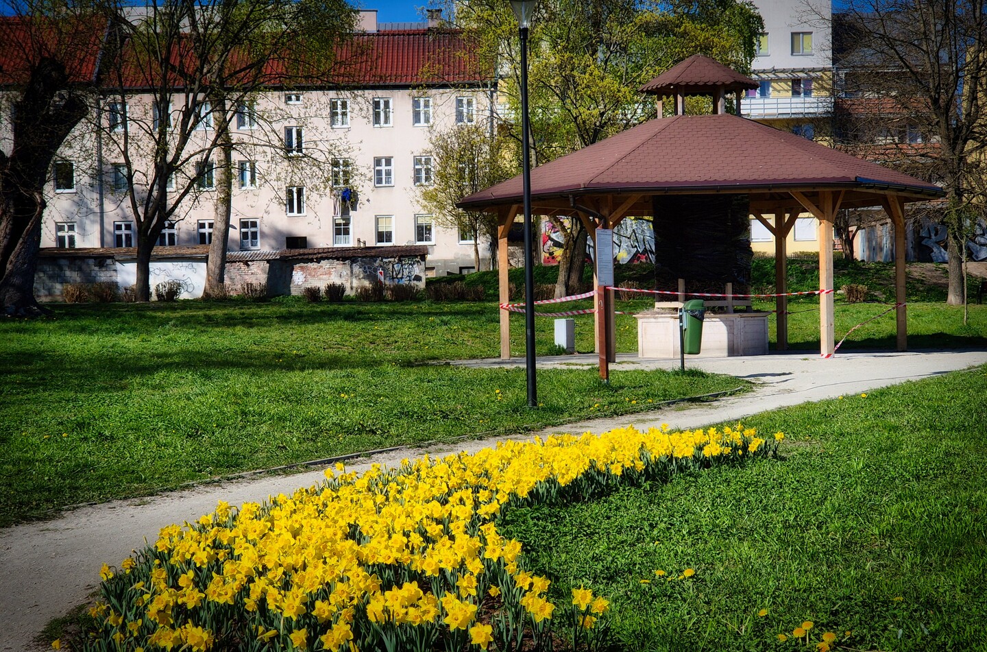 W parku