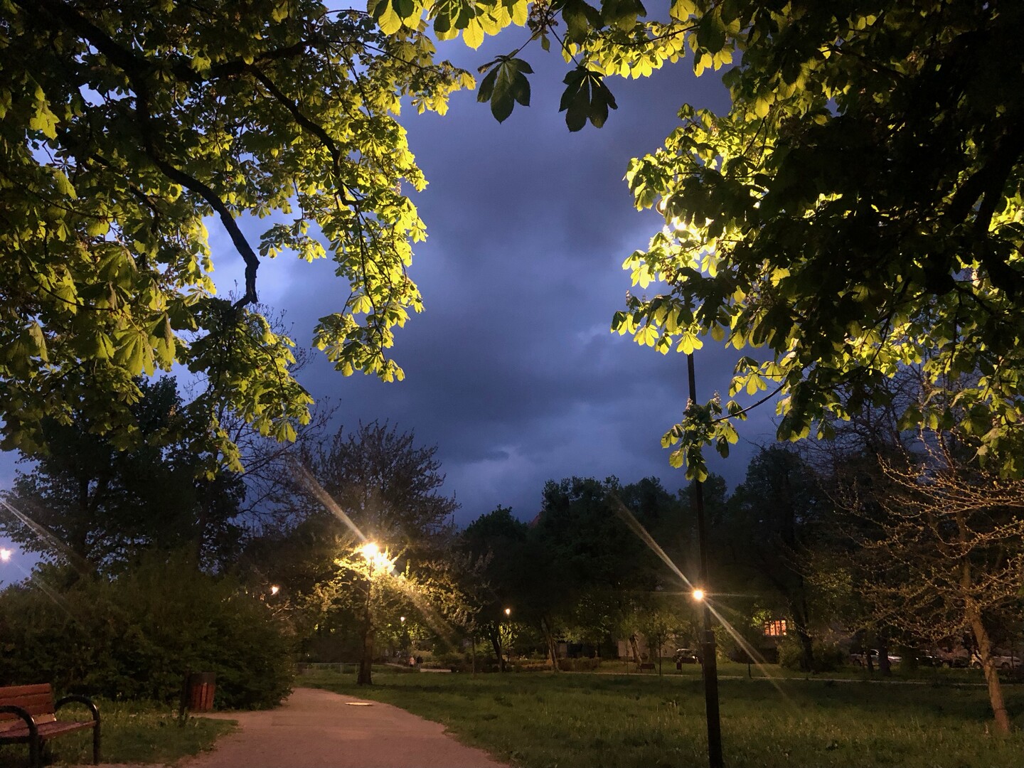 Park wieczorową porą