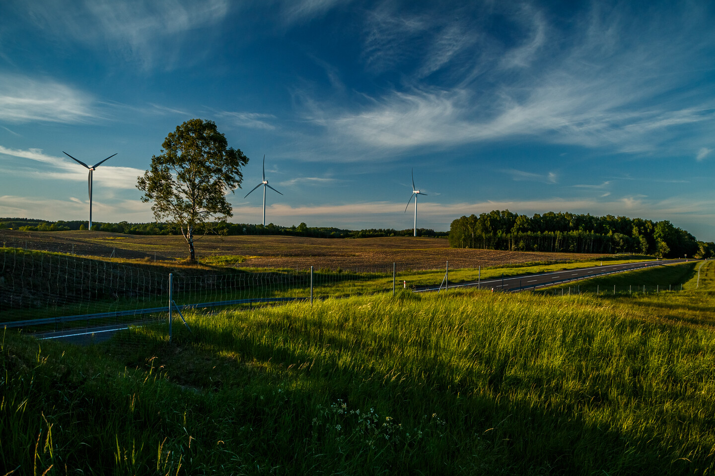 Wietrznie