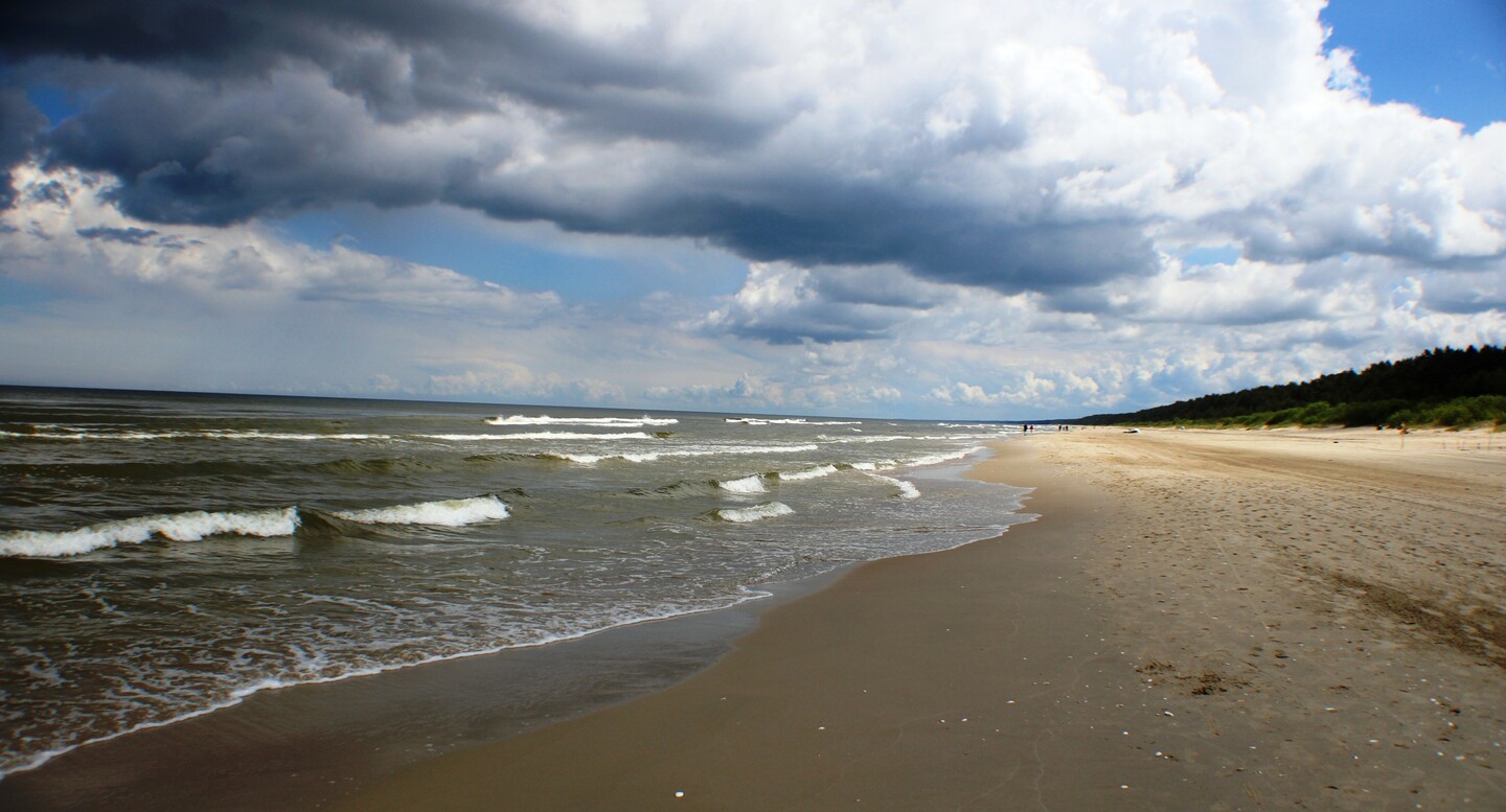 Przed burzą.