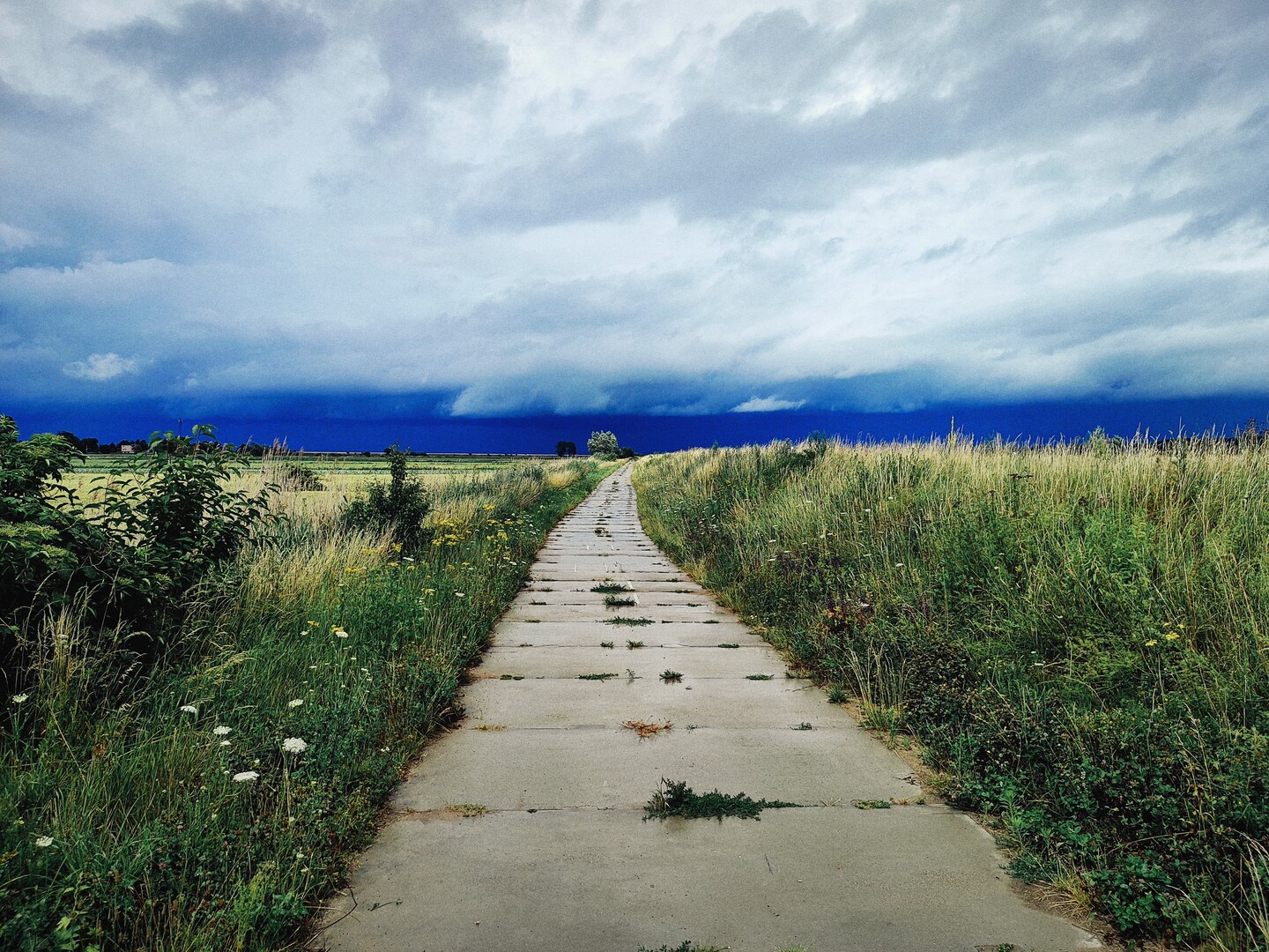 Przed burzą
