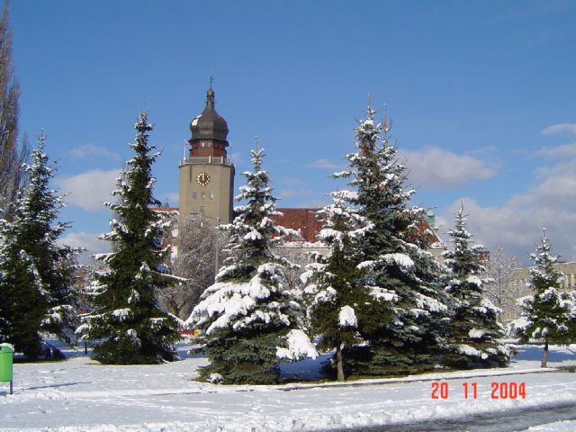 Pierwszy śnieg w mieście