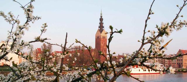 Kwitnące miasto