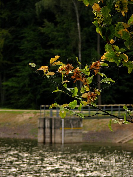  Idzie jesień(Jelenia Dolina)