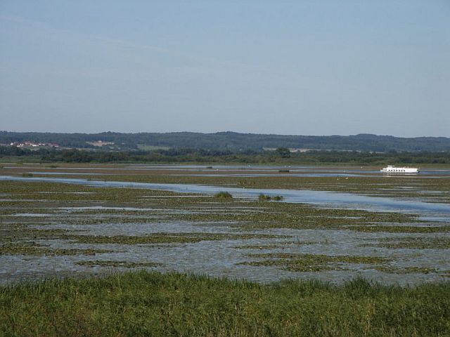  
W drodze do Elbląga