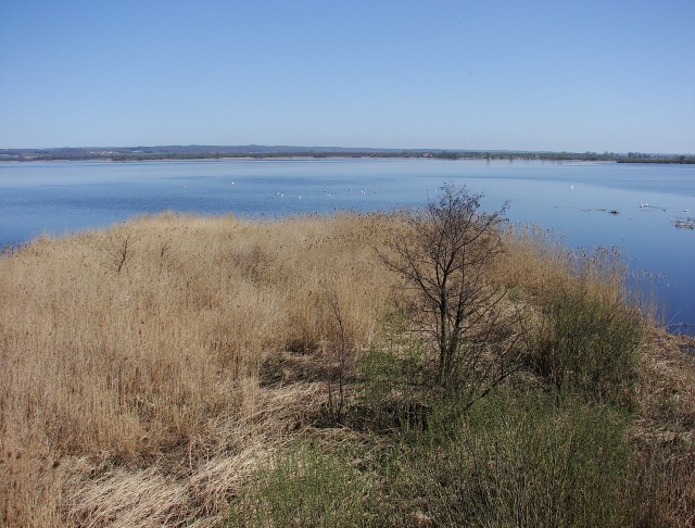 Rezerwat Przyrody-Jezioro Drużno