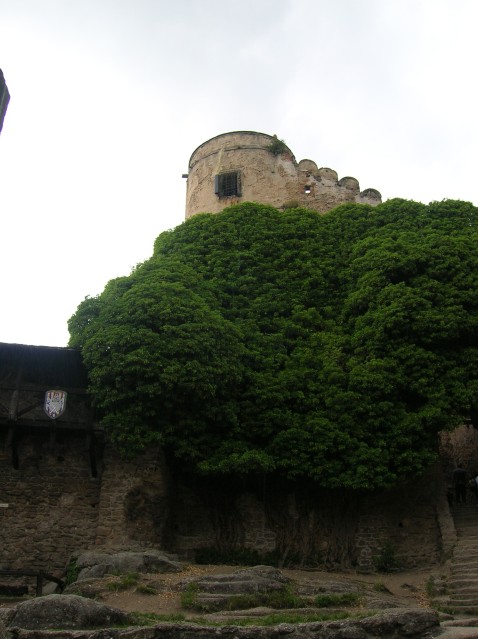  
Zamek Chojnik.(podgórze Karkonoszy)