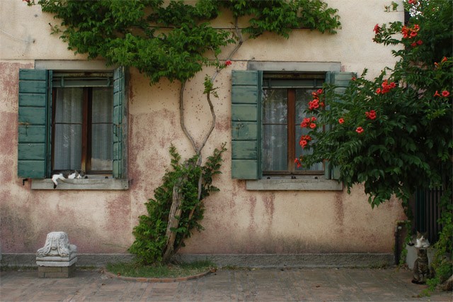  
Torcello