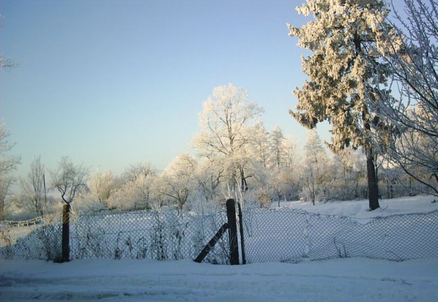  widok ode mnie z podwórka 
