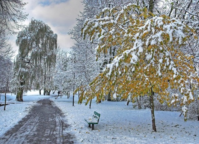 Trochę sypnęło (Park Kajki).