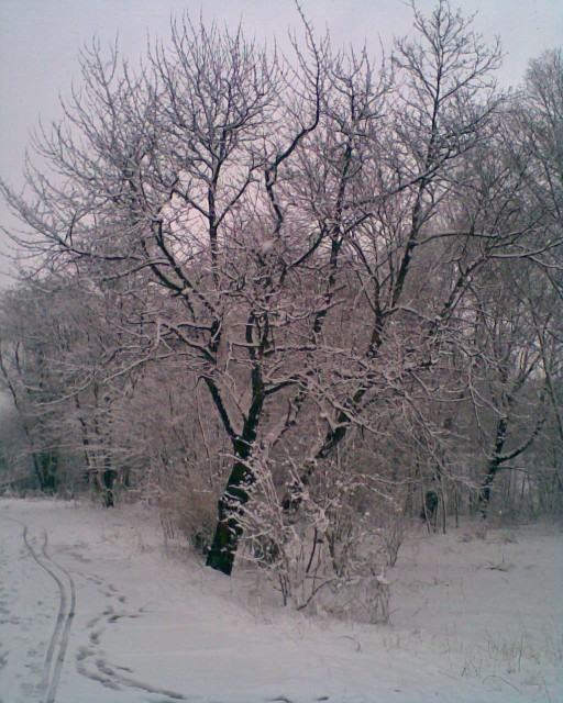 Jakże piękny widok w drugiej połowie marca:) 
jednak wiosna jeszcze daleko :)