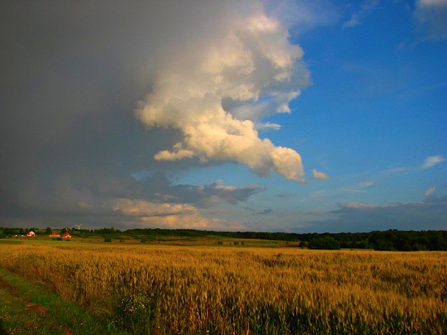 Czasem słońce, czasem deszcz