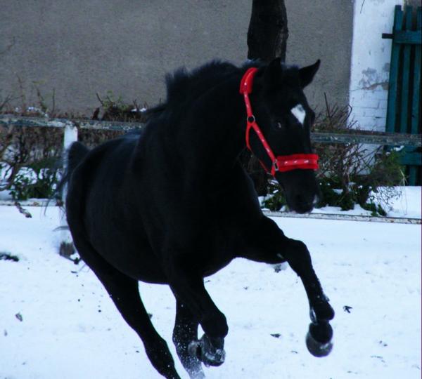 Kadyny. Listopadowy śnieg.