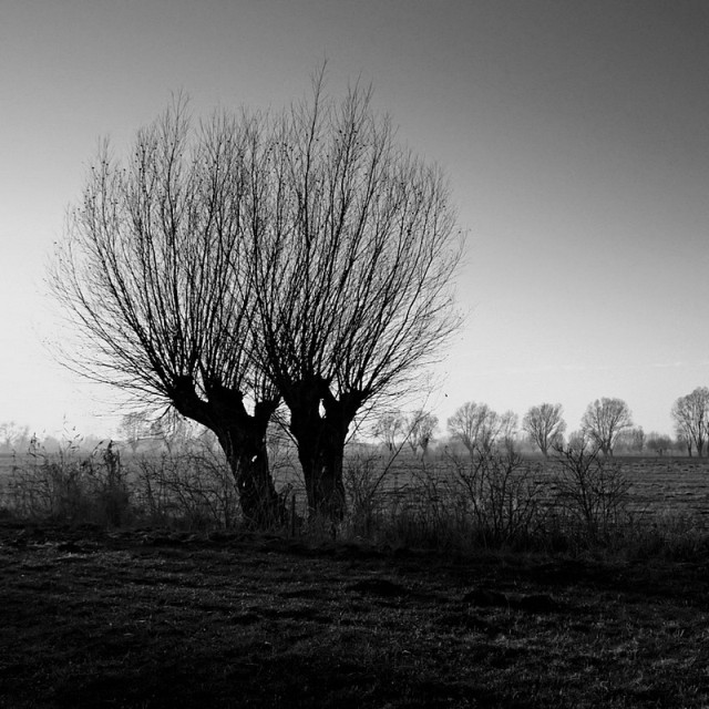 Żuławskie klimaty.