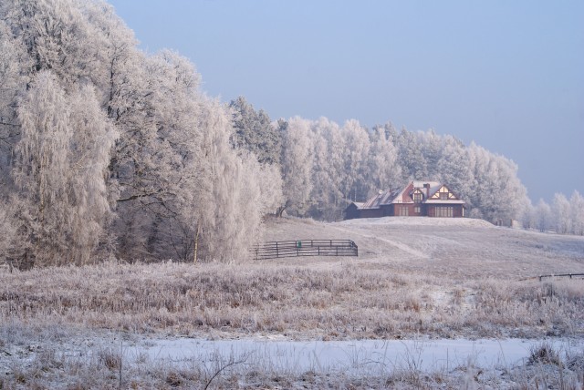 w bajkowej scenerii