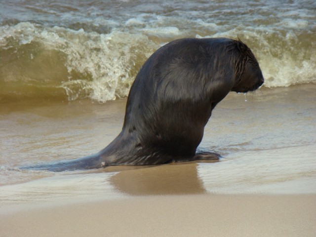 Na plaży...