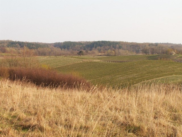 TOLKMICKIE WZGÓRZA