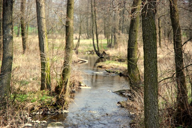 Na Podlasiu ;)