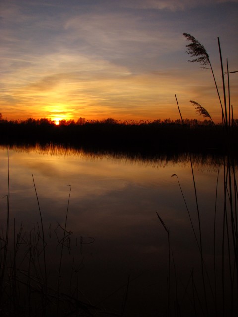 Nad Fiszewką