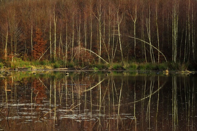 cisza przed zimą