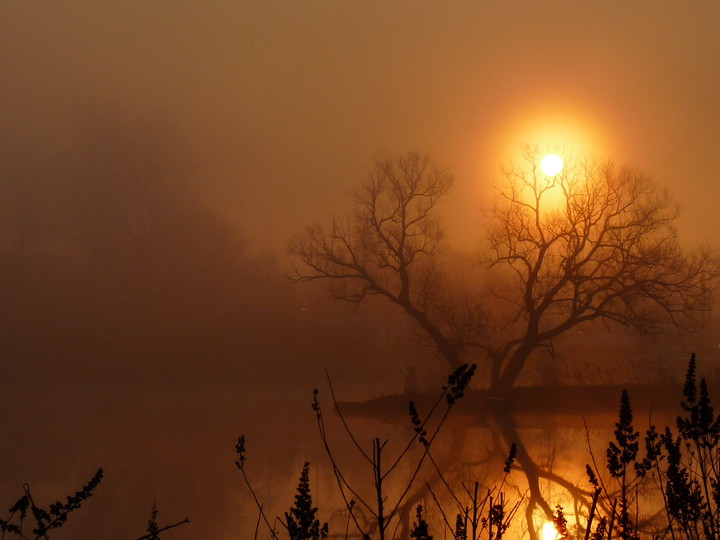 Poranek nad rzeką Elbląg