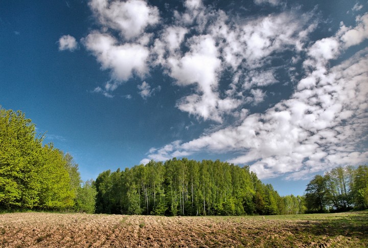 "BlueSky" . . . . nad Milejewem