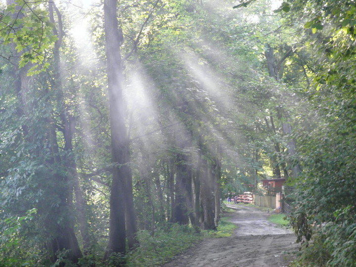 Przebijające słońce.