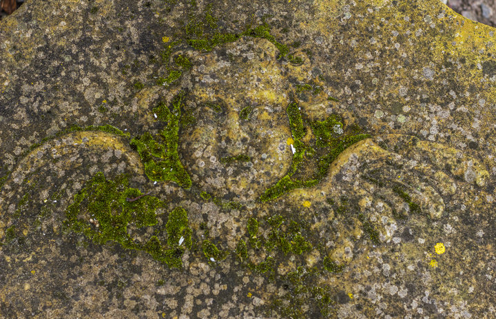 Fragment płyty nagrobnej z cmentarza Mennonickiego