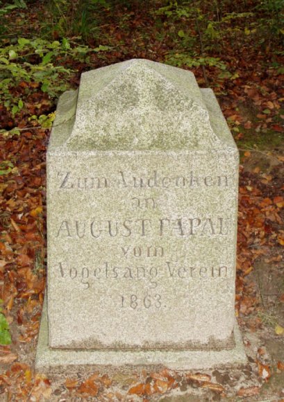  Obelisk Augusta Papau w Bażantarni
