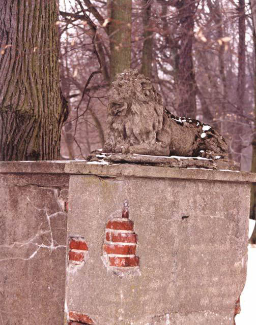 Jeden z dwóch zachowanych lwów przy wjeździe do parku otaczającego dawny dwór w Drewniku (ul. Witkiewicza).
