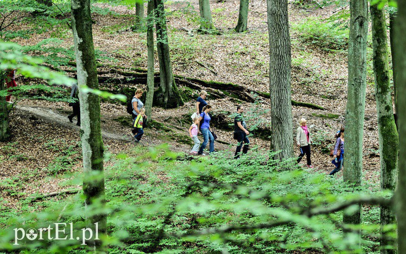 Elbląg, Sprzątając Elbląg posprzątali część świata