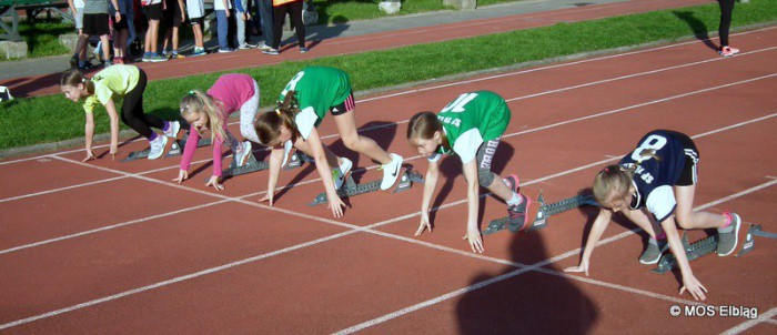 Elbląg, Jesienne czwartki lekkoatletyczne w liczbach