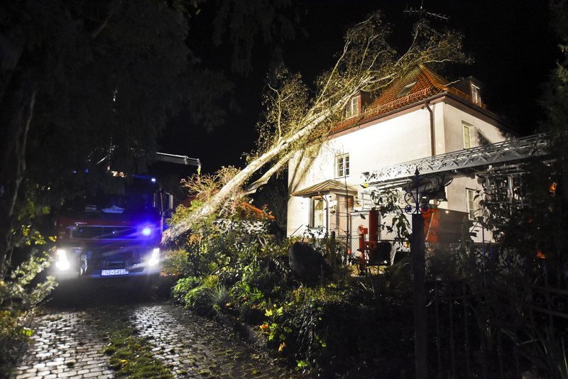 Elbląg, Drzewo przewróciło się na dom. Pracowita niedziela strażaków