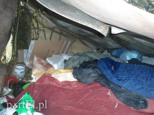 Elbląg, Pod tym numerem bezdomni uzyskają pomoc