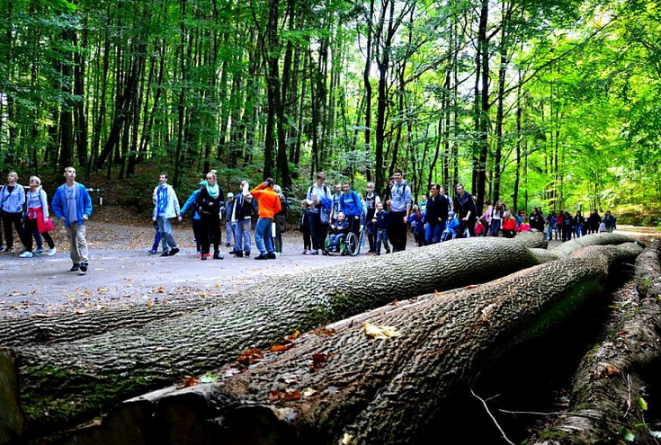 Elbląg, Zagłosuj na projekt z Elbląga