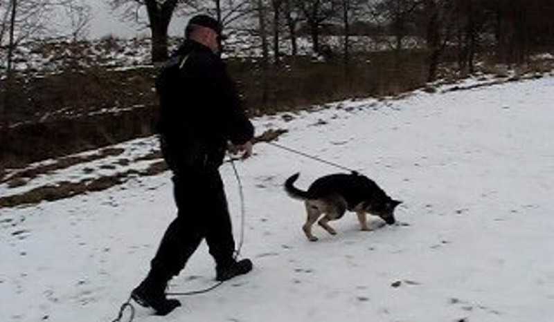 Elbląg, Pies doprowadził do zatrzymania podejrzanych