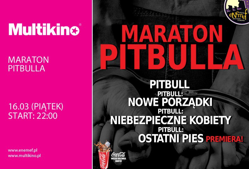 Elbląg, Maraton Pitbulla z premierą Ostatniego psa w Multikinie Elbląg, Maraton Pitbulla z premierą Ostatniego psa w Multikinie