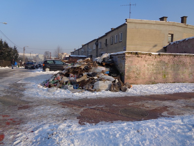 Elbląg, Za zaśmiecanie grozi surowa kara
