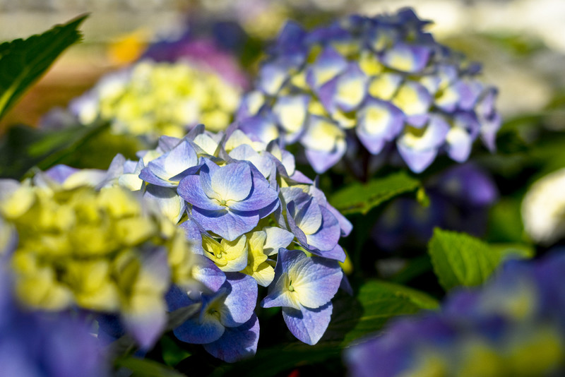 Dajmy im więcej światła, a odwdzięczą się